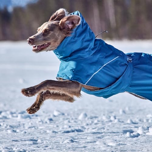Hurtta Extreme Warmer III ECO, Cold Weather Winter Dog Coat, Bilberry, 12 in - color: Bilberry, size: 12 in