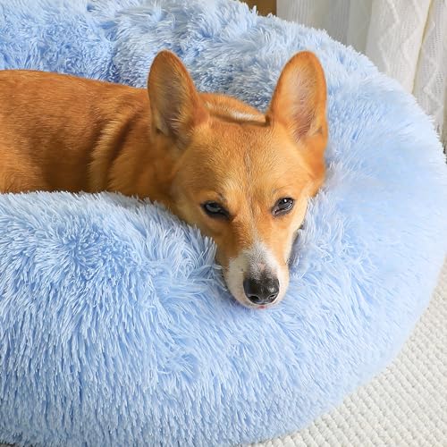 WESTERN HOME WH Calming Dog Bed & Cat Bed, Anti-Anxiety Donut Dog Cuddler Bed, Warming Cozy Soft Dog Round Bed, Dog Cat Cushion Bed for Small Medium Dogs and Cats - color: Light Blue, size: 30.0"l x 30.0"w x 8.0"th