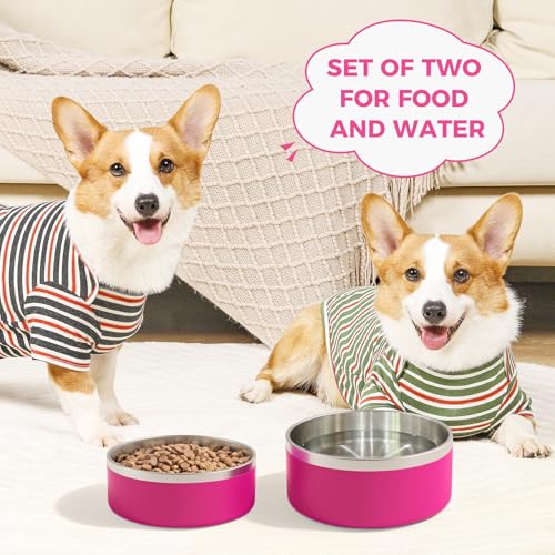 2 Pack Stainless Steel Dog Bowls, Outdoor Dog Water Bowl with Non Slip Rubber Bottom, Dishwasher Safe, Easy to Clean,40oz&64oz Pitaya - color: PITAYA