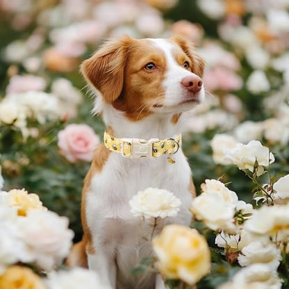 Bee & Daisy Dog Collar for Puppy Small Dogs - Spring/Summer Cartoon Yellow Dog Collars, Lightweight Adjustable Male Female Dogs Collars with Quick Release Buckle XS - color: Bee&Daisy, size: XS