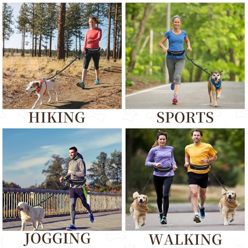 Skmeditec Hands Free Dog Leash with Waist Bag for Large Dog Walking, Shock Absorbing Bungee Leash with Zipper Pouch for Running, Dual Padded Handles & Adjustable Waist Belt - size: 1 Dog