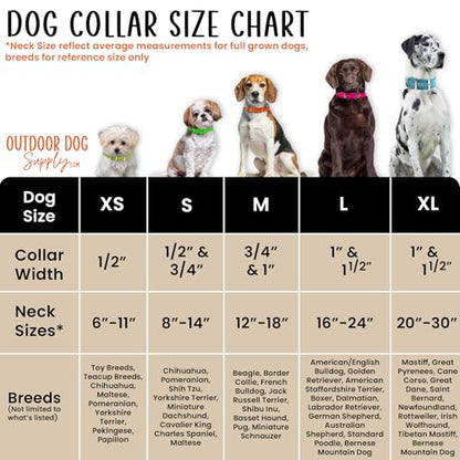 Outdoor Dog Supply Personalized 1" Reflective Purple Extra Long D-Ring Dog Collar with Custom 3/4" Brass Nameplate | Waterproof, Odor-Resistant, Adjustable for Large and Giant Breed Dogs - color: Purple