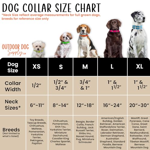 Outdoor Dog Supply Personalized 1" Reflective Light Blue Extra Long D-Ring Dog Collar with Custom 3/4" Brass Nameplate | Waterproof, Odor-Resistant, Adjustable for Large and Giant Breed Dogs - color: Light Blue
