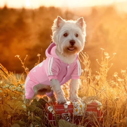 Dog Hoodie Security Clothes 4 Legs Jumpsuit Sweatshirt Soft & Warm Dog Outfit Pullover Dog Winter Clothes Sweater for Small Medium Large Dogs Cats (Pink, Medium) - color: Pink, size: Medium
