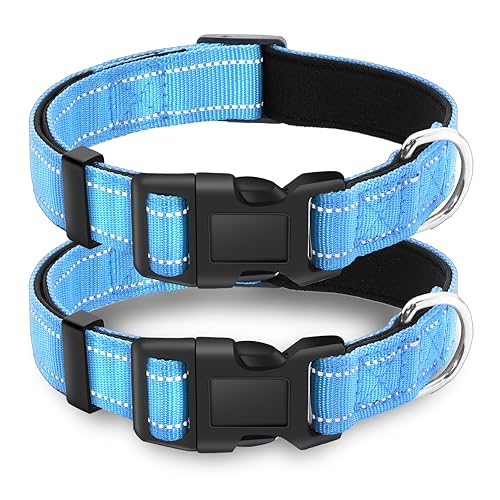 2 Pack Reflective Dog Collar with Safety Locking Buckle, Adjustable Soft Breathable Comfortable Nylon Pet Collar for Small, Medium and Large Dogs, SkyBlue, XS - color: A-Sky Blue(2 Collars), size: X-Small (Width 5/8")