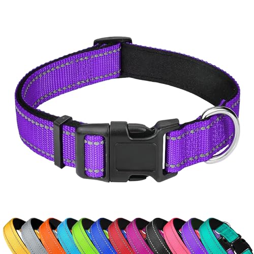 Reflective Dog Collar, Adjustable Soft Neoprene Padded Nylon Pet Collars with Buckle for Puppy and Small Dogs, Cats, Purple,XS - color: Purple, size: X-Small