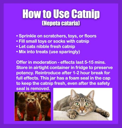 Purrfect Pounce Refillable Cat Toy with Catnip Included - Handmade in the USA, Interactive Leopard Design - Easy Refill Opening
