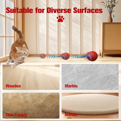 2026 New Upgrade Speedy Tail Cat Toy, Smart Interactive Pet Toys Comes with 4 Tails, Reinforced Version of The Cat Toys Balls, Two Speed Adjustment (Orange) - color: Red
