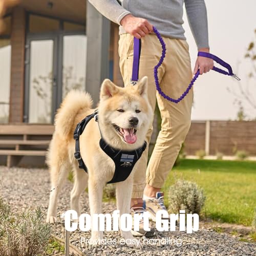 BUMBIN 6Ft Dog Leash - Large Dogs, Bungee Leash with 2 Handles, Heavy Duty, No Pull Shock Absorbing, Purple - color: Purple