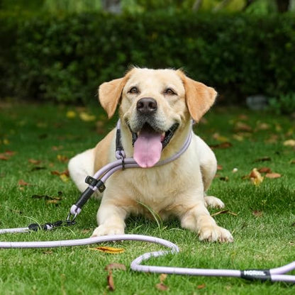 Rope Dog Leash with Two Handles, 6 Foot Heavy Duty Dog Leash with Aviation Aluminum Auto Locking Carabiner, Strong Nylon Pet Lead for Small, Medium, Large Dogs (Navy Blue, 6FT-Two Handle) - color: Navy Blue, size: 6 Foot Two Handle