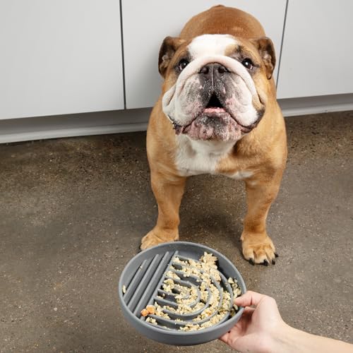 Should We Go? Slow Feeder for Dogs & Puppies, The Slowdown Bowl Silicone Slow Eating, Modern Lick Mat Design, Reduces Gulping, Fits 2 Cups, 7.5” Across x 1.5” Tall, Mealtime Challenge, Medium-Charcoal - color: Charcoal - Rainbow Design, size: Medium (7.5”