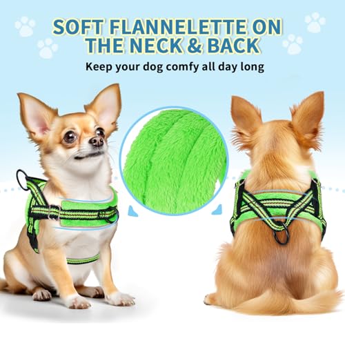 Lukovee No Pull Dog Harness and Leash Set, Soft Padded Small Dog Harness, Neck & Chest Adjustable Reflective Vest Puppy Harness with 4ft Lightweight Anti-Twist Dog Leash for Small Dogs (XXS, Green) - color: Green - with Stripe, size: XXS ( Chest 11.5'' ~