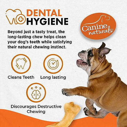 Canine Naturals IrresistiBONES Long Lasting Puppy Chicken and Rice Chew - Made with USA Chicken - All Natural - Added DHA for Healthy Growth - 6 Pack - size: 1 Count (Pack of 6)