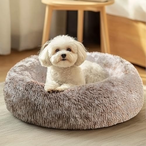 JOLLYVOGUE Dog & Cat Bed, Calming Anti-Anxiety Pet Bed for Small Dogs, Fluffy Donut Cushion for Small and Medium Pets (20") - color: Smoke Brown, size: 20"