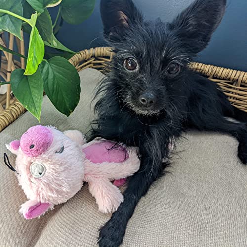 Huxley & Kent Slappies for Dogs | Piggie Smalls (Small) | Squeak & Shake Dog Toy | No Stuff Squeaky Toy, TPR Ball in Head | Simulates Hunting Nature for Dogs - size: Small, style: Piggie Smalls