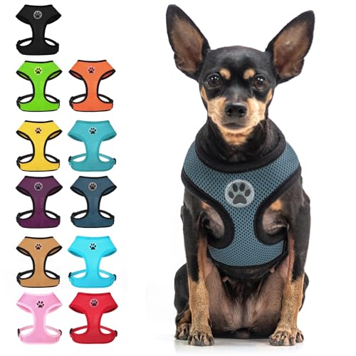 BINGPET Small Dog Harness, No Pull Dog Harness Small Sized Dogs, Soft Light Breathable Mesh Puppy Vest with Safety Buckle-Adjustable Step in Pet Harnesses for Easy Walking, Running, Training - color: Navy Blue, size: XS (NECK: 10", CHEST: 10"-14")