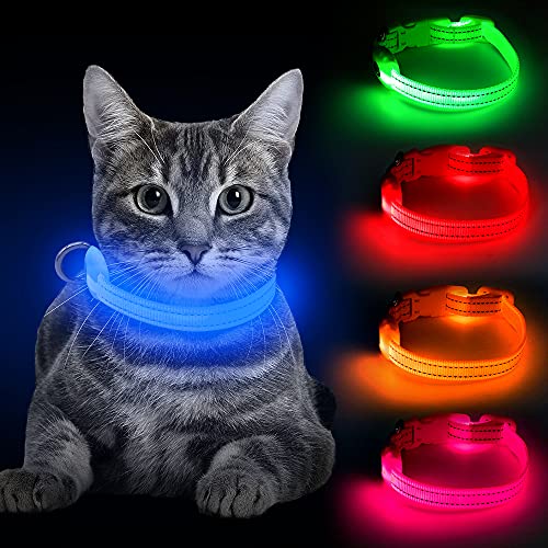 BSEEN Light Up Dog Collar, Rechargeable LED Dog Collar Reflective Glowing Pet Collar for Puppies & Cats, Safety Dog Lights for Night Walking (Blue) - color: Blue