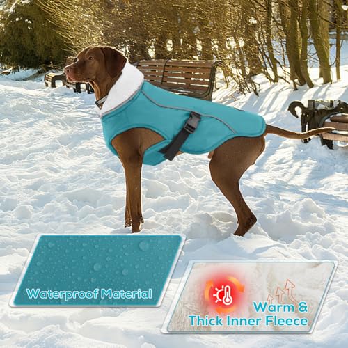 EMUST Dog Coat Winter, Waterproof Pet Snow Jacket for Winter, Adjustable Small/Medium/Large Dog Coat, Turquoise, L - color: Turquoise, size: Large