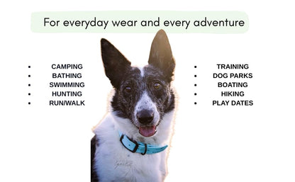 Heavy Duty Waterproof No Smell Dog Collar, Stronger Than Leather, for Active Dogs, Bathing, Dog Parks, Beach, Lake, Trails, Easy on Skin & Fur (Light Blue, Large) - color: Light Blue, size: Large