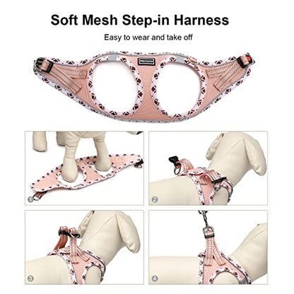 Mercano Soft Mesh Dog Harness and Leash Set, Step-in Reflective Breathable Lightweight Vest Harnesses with Safety Buckle for Small Dogs, Cats (Champagne, XXS) - color: Champagne, size: XXS (Chest: 9.5"-11.2")