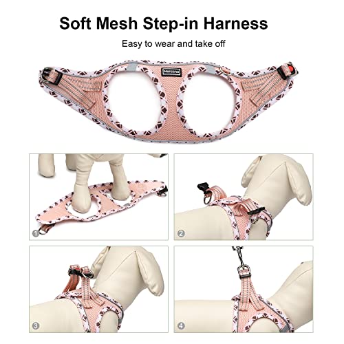 Mercano Soft Mesh Dog Harness and Leash Set, Step-in Reflective Breathable Lightweight Vest Harnesses with Safety Buckle for Small Dogs, Cats (Champagne, XS) - color: Champagne, size: XS (Chest: 11.2"-13.2")