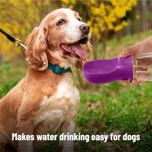 Mr. Pen- Portable Dog Water Bottle, 19 oz, Large, Leak Proof Puppy Water Dispenser with Drinking Feeder for Pets, Outdoor Walking, Hiking, Travel, Not Dishwasher Safe - color: Purple