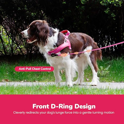 Didog No Pull Dog Harness with Soft Mesh Padded,Reflective & Quick Fit Light Weight Dog Strap Vest Harness,Easy for Walking Training (XS:Chest 15-18", Pink) - color: Pink, size: XS: Chest 15-18", Fit 9-18 lbs
