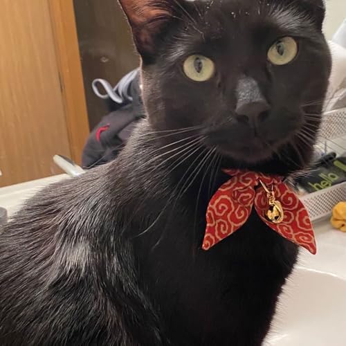 Bunny Ears Cat Collar, Japan Lucky ‘開三運’ Charm. Safety Breakaway Bowtie Kitten Collar with Bell, Red - color: Red