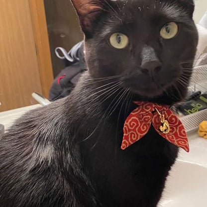 Bunny Ears Cat Collar, Japan Lucky ‘開三運’ Charm. Safety Breakaway Bowtie Kitten Collar with Bell, Red - color: Red