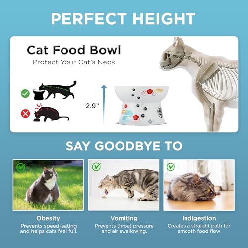 Necoichi Raised Cat Food Bowl – Ceramic Elevated Cat Bowl for Whisker & Neck Fatigue, Dishwasher Microwave Safe – Non-Slip & Anti Vomiting Ergonomic Design (Fuji, Regular, 1-Cup Capacity) - color: Fuji, size: Small Flat (1 Cup)