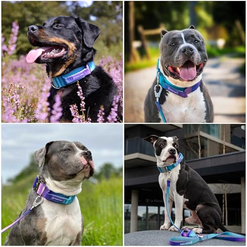 Spark Paws Tactical Dog Collar - Heavy Duty, Premium Quality, Thick and Durable for Large and Medium Dogs - 90s Retro - M - 1.5" - color: 90s Retro, size: M: 18"-22" [1.5" wide]