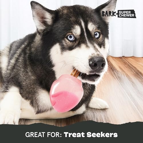 Barkbox Treat Caster Potion Dog Toy for Large Dogs Durable Rubber, Treat Dispensing with Wacky Wobble for Interactive and Engaging Playtime - style: Treat Caster Potion