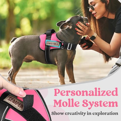 rabbitgoo Dog Harness Medium Sized, Easy On Pet Vest with One Buckle, No Pull Adjustable Service Harness with D-Ring & Handle, Reflective for Safety Walking, Training, Pink, M - color: Pink, size: Medium