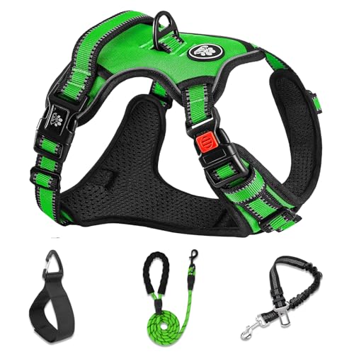 No Pull Dog Harness,Adjustable Oxford Dog Vest Harness with Leash,Reflective No-Choke Pet Harness with Easy Control Soft Handle for Small Dogs(Small,FluorescentGreen) - color: Green, size: 【S】neck 11-15" chest 15-21"