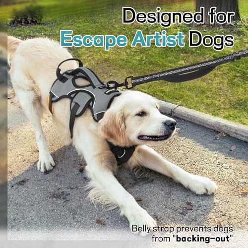 rabbitgoo Escape Proof Dog Harness, Soft Padded Full Body Pet Harness, Reflective Adjustable No Pull Vest with Lift Handle and Leash Clip for Large Dogs Walking Hiking Training, M, Grey - color: Grey, size: Medium (Pack of 1)