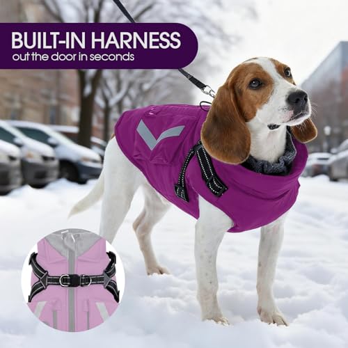 FUAMEY Fleece Lined Dog Coat, Warm Dogs Jacket with Harness, Pop Bag Pockets, Extra Large Doggy Thermal Vest Back Zipper Winter Suit, Snow Cold Weather Outfits, Weimaraner (Violet, 2XL) - color: Bright Violet, size: XX-Large