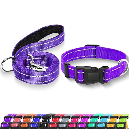 Reflective Dog Collar with Safety Locking Buckle, Adjustable Soft Breathable Nylon Collars for Small, Medium and Large Dogs(Collar+Leash XS Width 5/8" Purple) - color: Purple, size: X-Small (Width 5/8")