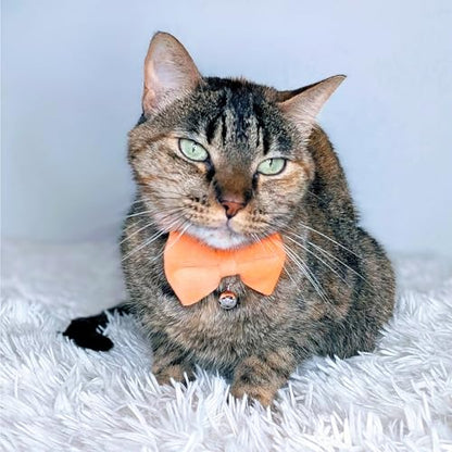 Velvet Bowtie Cat Collar with Bell – Adjustable Breakaway Orange Cat Collar for Adult Cats (7–11 in) - color: Orange