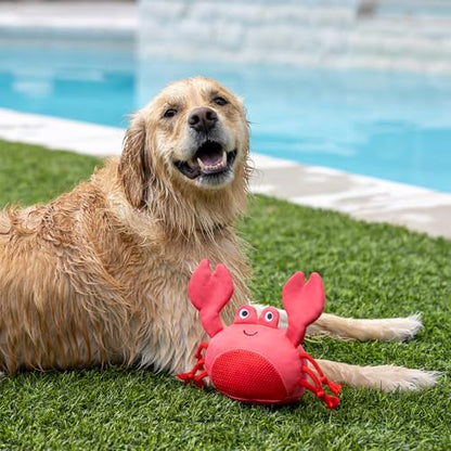 Fringe Studio Claws Floating Dog Toys, Pet Shop Collection (640007) - color: Claws