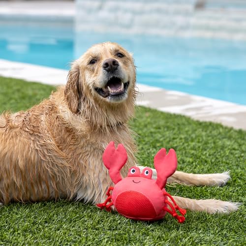 Fringe Studio Claws Floating Dog Toys, Pet Shop Collection (640007) - color: Claws
