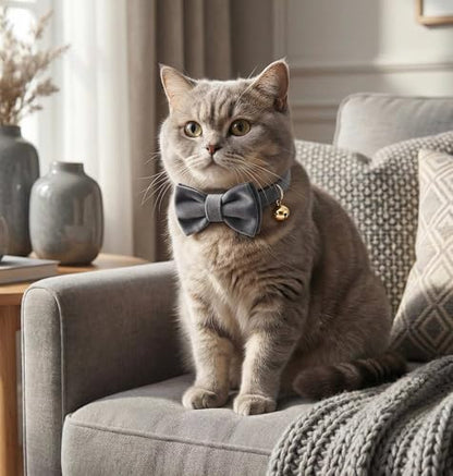 Personalized Velvet Cat Collar with Bell, Custom Engraved Name and Phone Number, Adjustable Luxury Kitten Collar, Non-Breakaway Secure ID Collar for Cats and Kittens - color: Charcoal, size: L