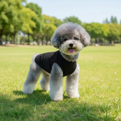Chol&Vivi Dog Shirts, 4pcs Soft Cotton T-Shirt Clothes, Blank Hoodie/Sweatshirt, XS (14' Chest), Black, Grey, White, Dark Green - color: Black, Grey, White, Dark Green, size: XS (13" Chest)