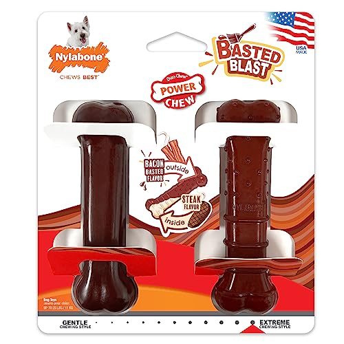 Nylabone Original & Textured Bone Power Chew Toy for Dogs, Durable & Tough Dog Toys for Aggressive Chewers, Basted Blast Bacon and Steak Flavor, Small Dogs - Up to 25 lbs, 2 Pack - size: Small