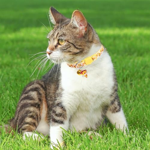 BINGPET Christmas Breakaway Cat Collar with Bell,3 Pack Cat Collars for Girl Cats, Cute Kitty Collars Accessories with Donut & Sushi & Pizzas(Yellow/Pink/Blue) - color: Food-3pcs
