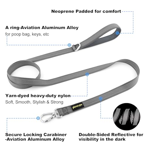 Plutus Pet Heavy Duty Dog Leash with Lockable Aluminum Carabiner, 4/6 Feet Long, Double-Sided Reflective Nylon, Padded Handle, for Puppy, Small, Medium and Large Dogs (Gray, 4/5" x 4') - color: Gray, size: 4/5" x 4'