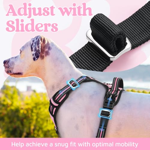 rabbitgoo Dog Harness Medium Sized, No Pull Dog Vest with 3 Buckles, Adjustable Soft Padded Pet Harness with Easy Control Handle and Reflective Strips, Light Pink, M - color: Light Pink, size: Medium