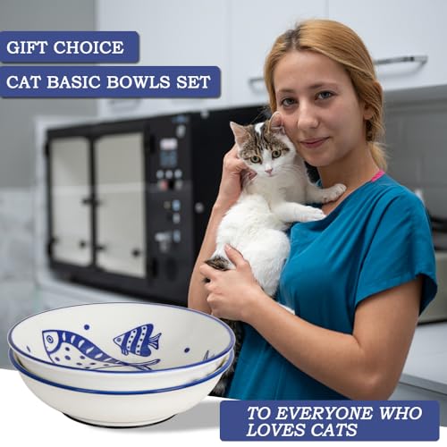 HAPPY KIT 2Pcs Wide Shallow Cat Bowls,8.5oz Colorful Plate Set with Non-Slip Mat,5.7 inch Indoor Ceramic Cats Dish/Dishes Relief of Whisker Fatigue - Microwave and Dishwasher Safe - color: fish