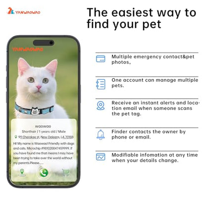 Cat Collar with Bells Reflective Cat Collars Breakaway with Oxford Cloth Soft Padding Adjustable Kitten Collar with QR（CodeCaribbean Blue） - color: Caribbean Blue