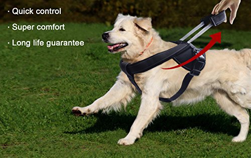 Heavy Duty Dog Harness for Large Dogs, No Pull Dog Vest Harness with Handle Extensible, Reflective Stitching (XXL) - size: XXL: Chest girth 32-47''