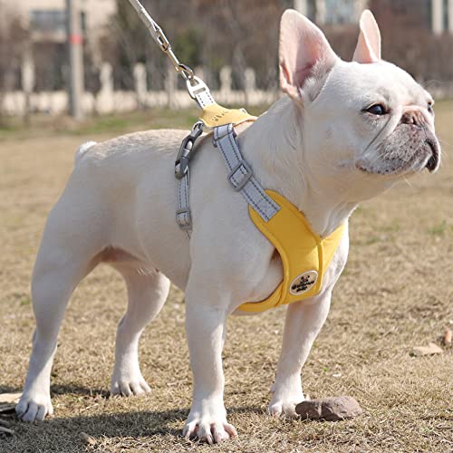 Dog Harness Pet X Frame No Pull Step-in Harnesses with Leash Set, Adjustable Reflective Choke Free Puppy with Padded Vest for Small, Medium Dogs and Cats Walking Training - color: Yellow, size: Medium